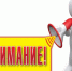 Проведение публичных слушаний. - Город Фокино
